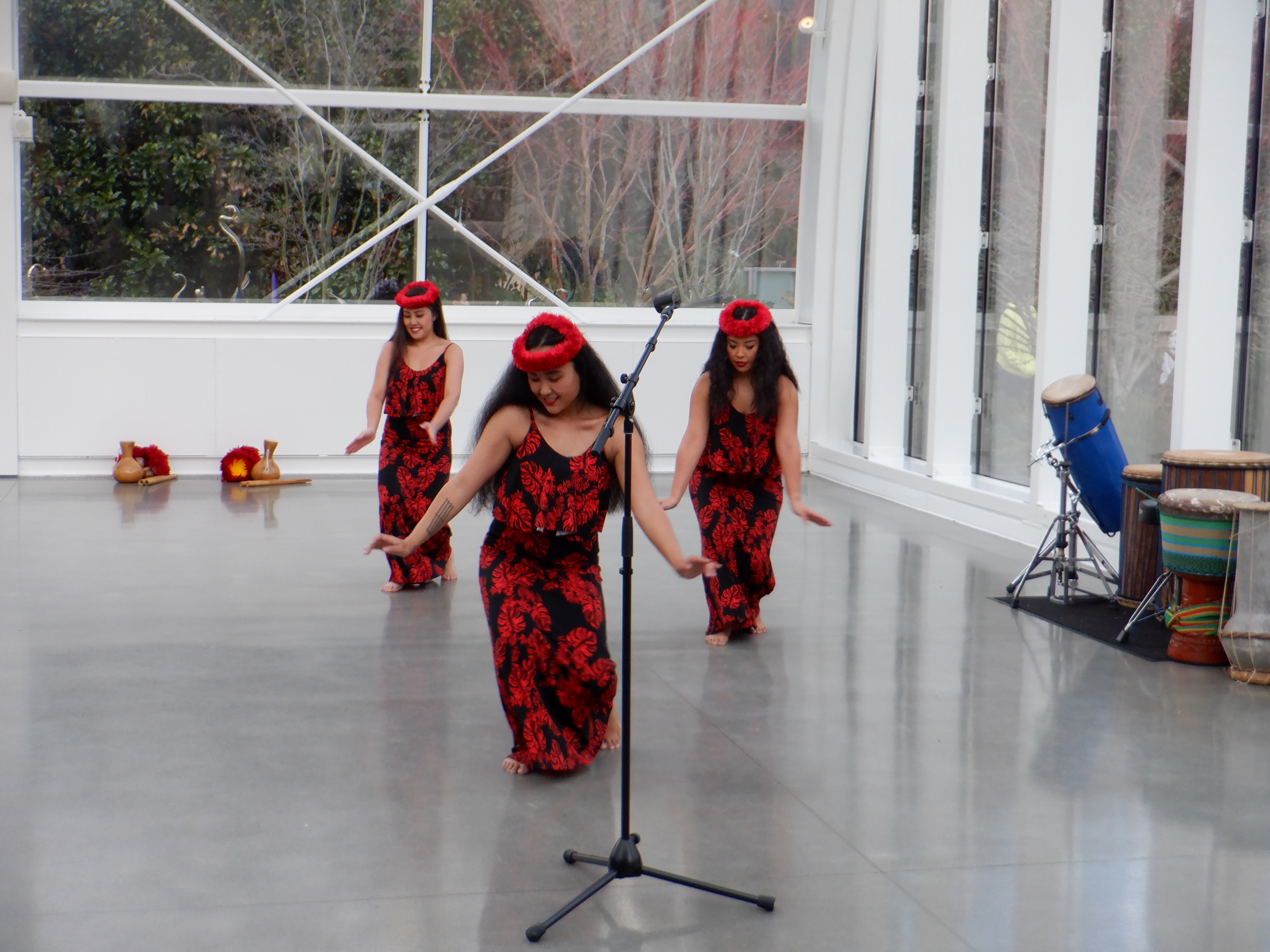 ./2020/03 - Seattle/DSCF1236.JPG